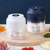 Electric Garlic Mincer 150/300ML Food Chopper USB Mini Fruits Vegetable Chopper Portable Small Food Processor
