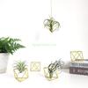 24TE 5pcs Modern Metal Geometric Air Plant Holder Minimalist Terrarium Planter Hanger Display Stand Rack Tabletop Home Decor