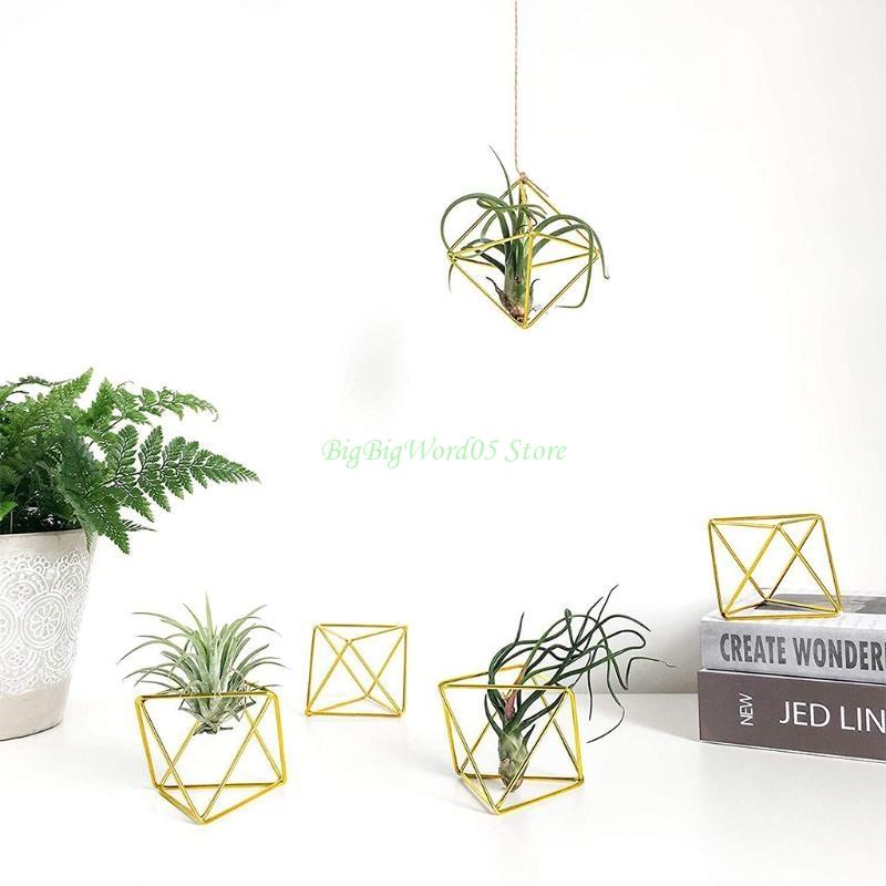 24TE 5pcs Modern Metal Geometric Air Plant Holder Minimalist Terrarium Planter Hanger Display Stand Rack Tabletop Home Decor