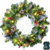 Christmas Decorations Set: LED String Lights Red Poinsettia Flowers Wreath Door Hanging Home Festive Interior