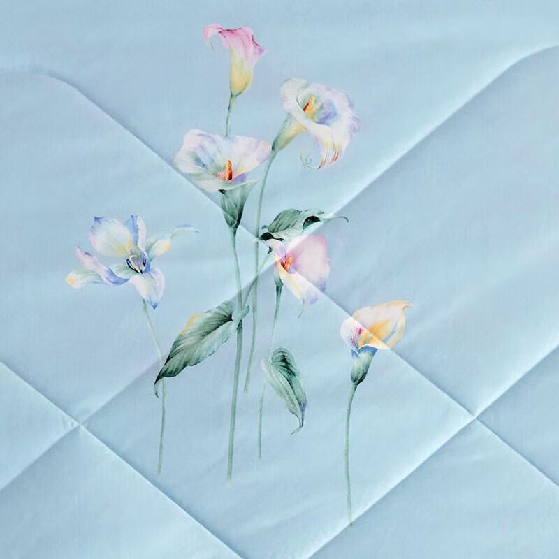 Luolai Home Textiles Enchanting Lotus Summer Quilt