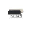 Mono 2 black ceiling lamp