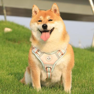 Köpek Tasması Evcil Hayvan Yürüyüş Köpek Tasması Tasma Yavru Teddy Corgi Yelek Göğüs Kayışı Kırılmaya Karşı