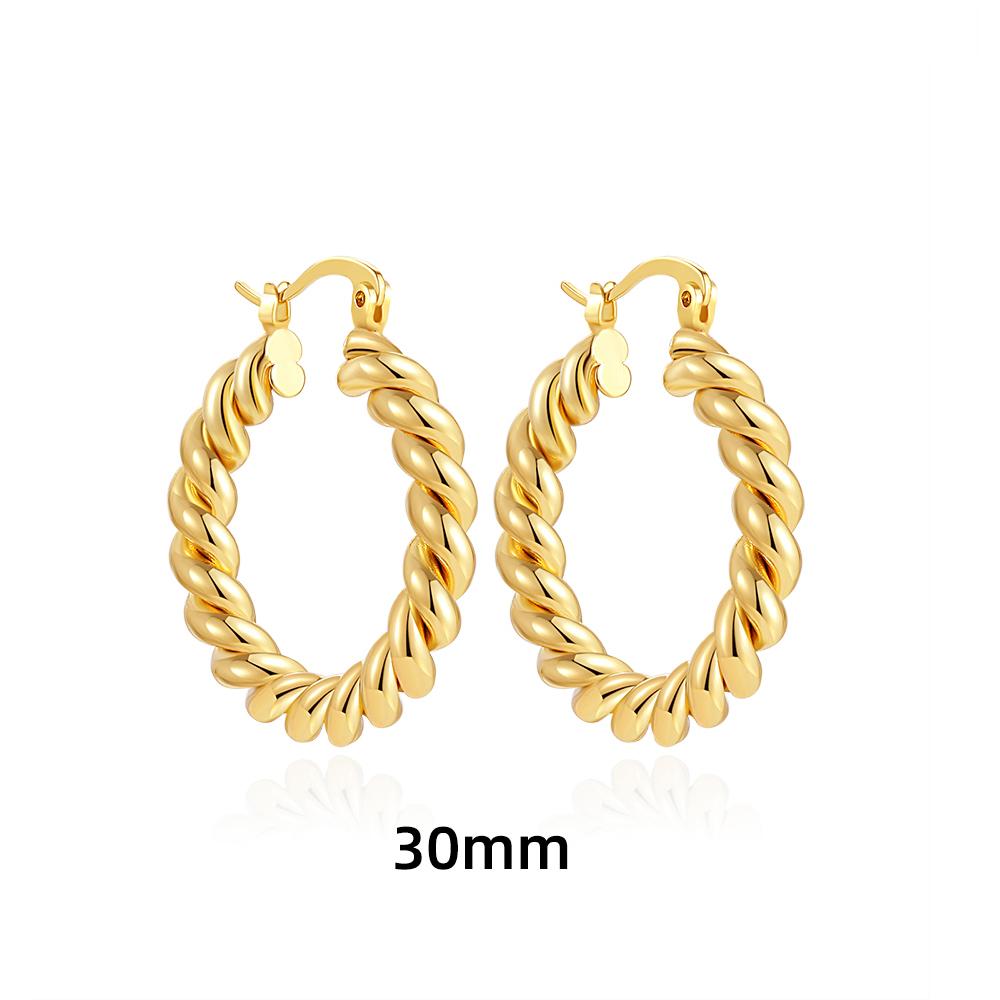 New Trendy Geometric Twisted Thick Hoop Earrings Fashion Gold Big Round Circle Earrings for Women Punk Hiphop Jewelry Gift