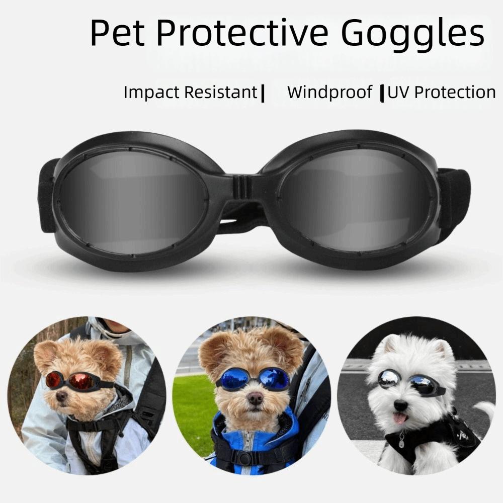 Impact-Resistant Pet Glasses Windproof Design Doggie Goggles Cool Fashion Cat Eyewear  Pet Photos