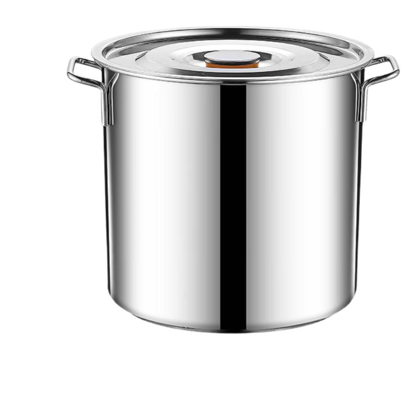 Penguin Tuan Tuan Stainless Steel Stock Pot with Lid