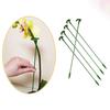 Trellis Flower Stand Phalaenopsis Rod Plant Support