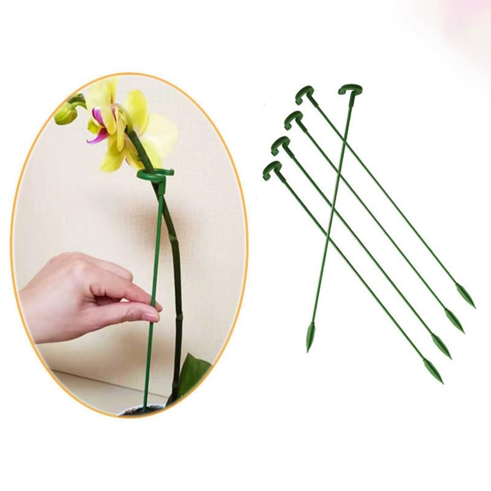 Trellis Flower Stand Phalaenopsis Rod Plant Support