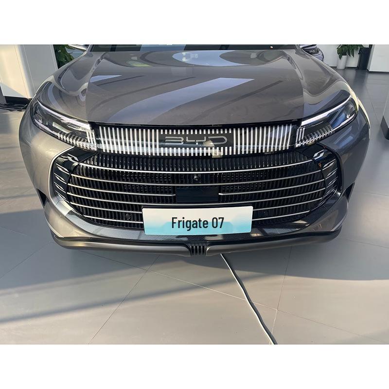 Rearview Mirror Mesh, Taillight Trim & Fuel Tank Cap for BYD Frigate 07