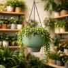 Drainage Self Watering Hanging Planters Chain Hooks Vertical Flowerpot  Indoor Plants