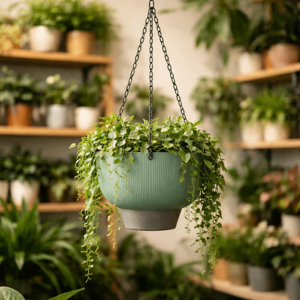 Drainage Self Watering Hanging Planters Chain Hooks Vertical Flowerpot  Indoor Plants