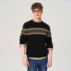 Goldlion Men's Merino Wool Blend Pullover Sweater