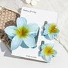 Frangipani Hairpin Beach Vacation Style Bauhinia Flower Updo Shark Hairpin Set