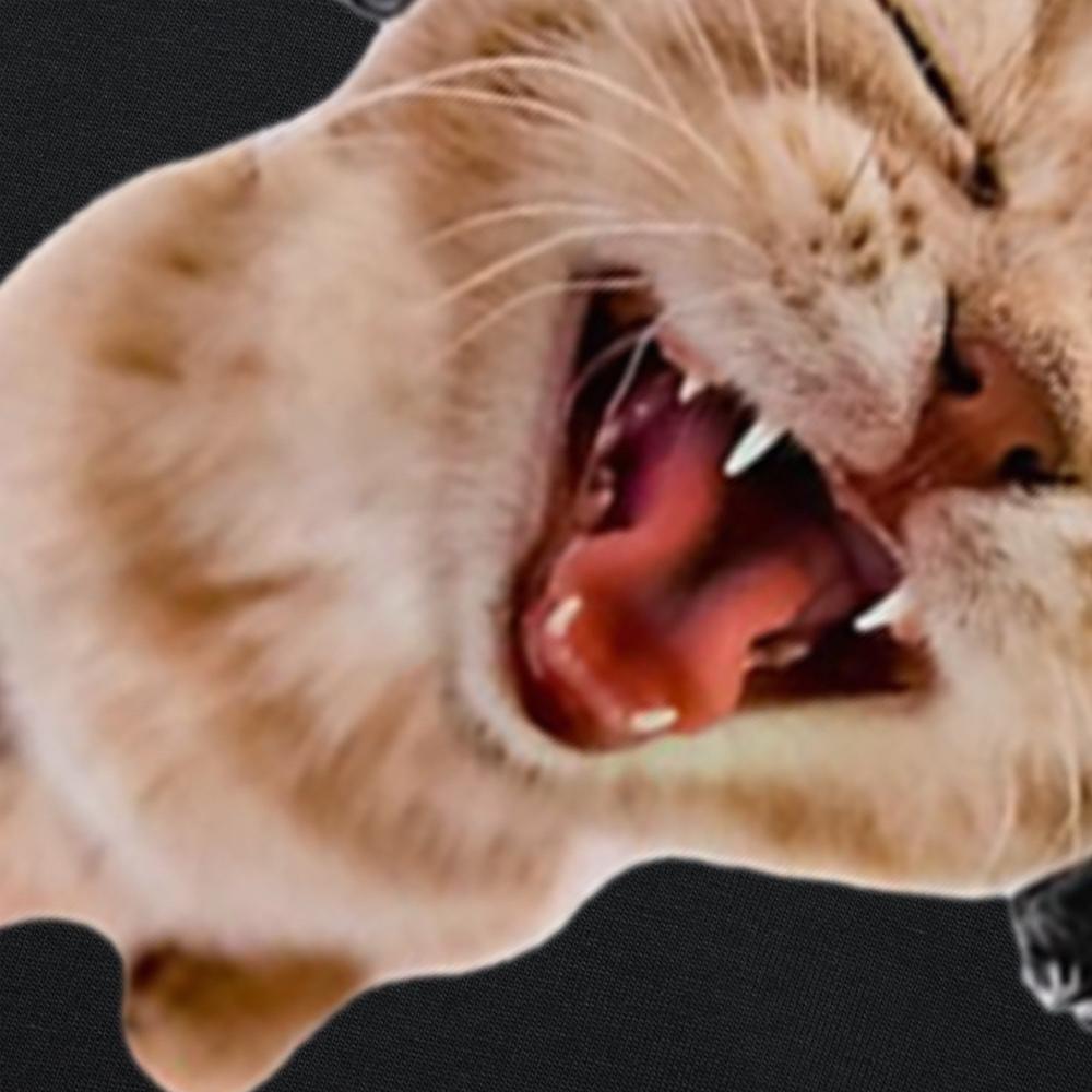 Funny Silly Cat With Headphones Graphic T-shirts Men Women's Fashion Casual Tshirt 100% Cotton Loose Oversized T Shirt