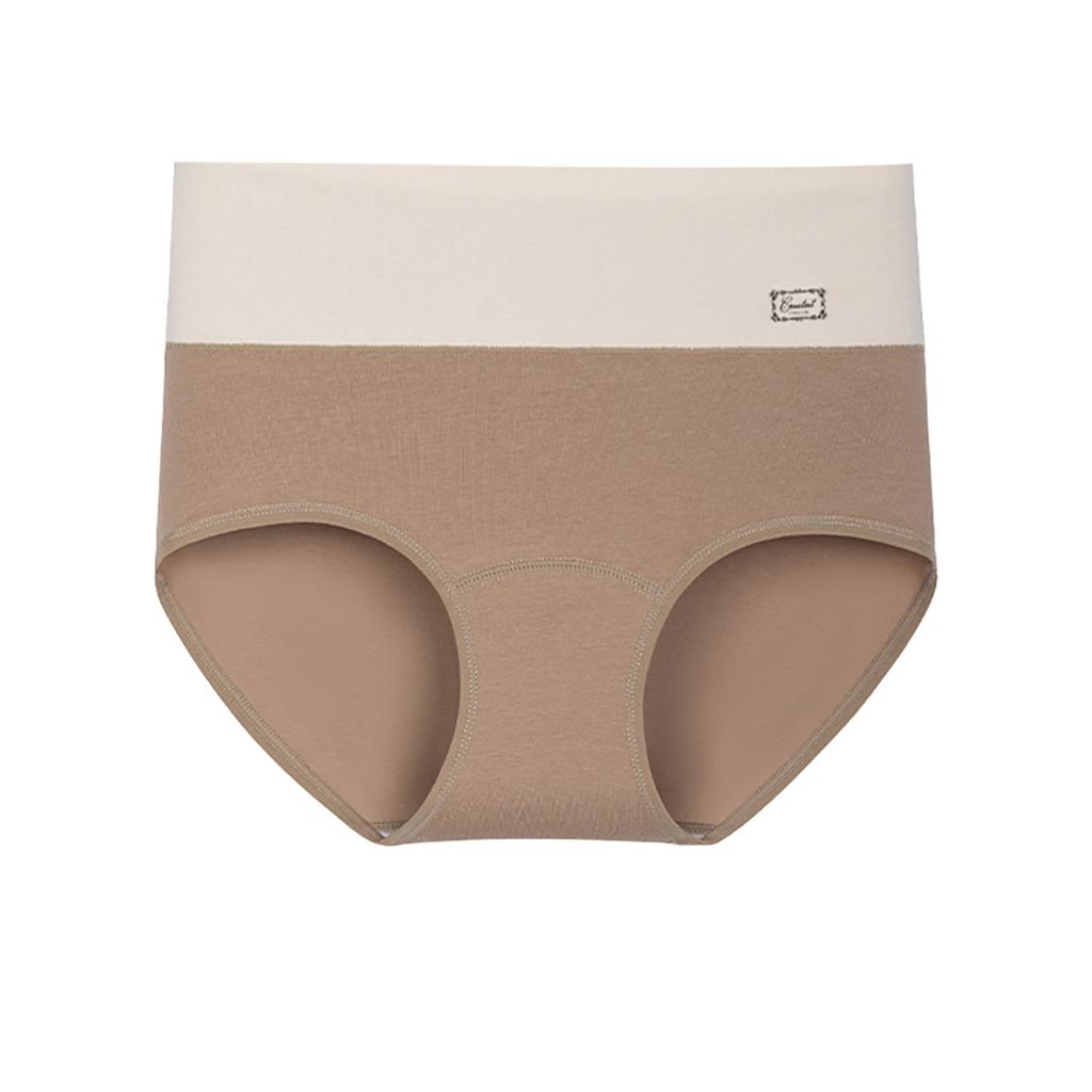 Plus  Size Ladies Spring and Autumn Pure Cotton Extended Crotch High Waist Midwaist Briefs