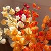 Lifelike Artificial Lantern Flower Real Touch Simulation Flower Branch  Living Room