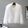 Imitation Fox Fur Imitation Leather Jacket Women's New Autumn and Winter Short Slim Fashion Light Fluff
