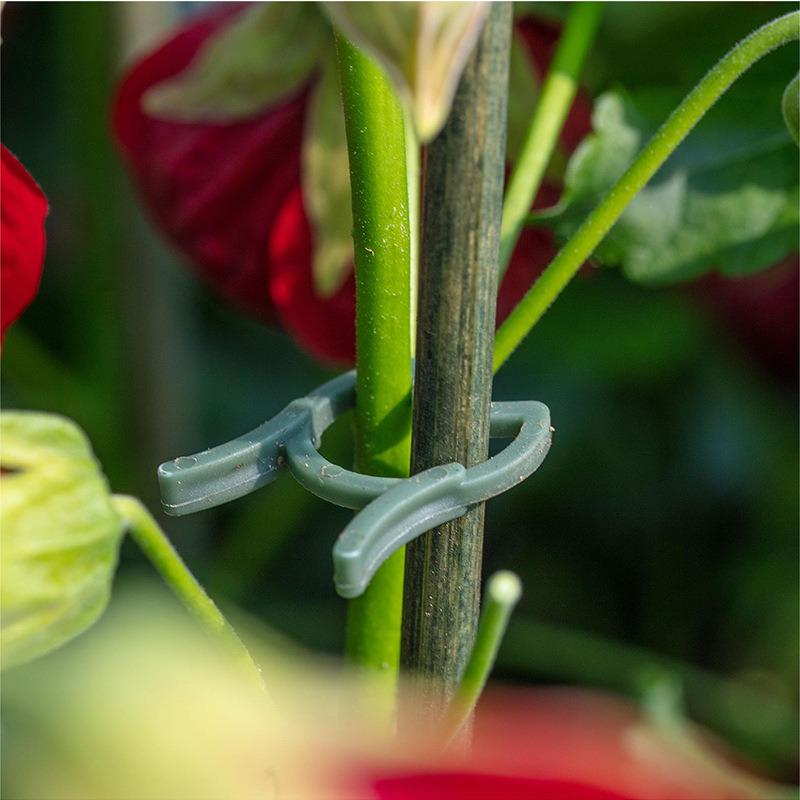10pcs Heavy Duty Garden Clips Plant Support Clips Plastic Plant Ties for Stem Fixing Garden Supplies
