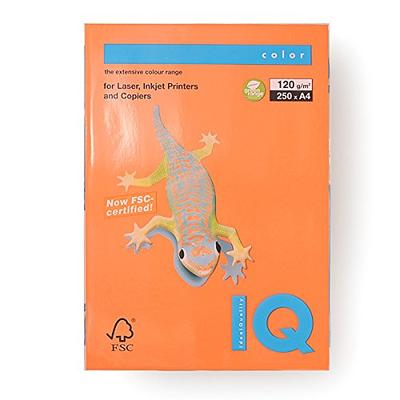 Bio Top Color Orange A4/120g 250T