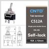 CNTD C5 Toggle Switch Self-locking 15A 250VAC Single Pole Double Pole Switch With Rainproof-cap Switches4
