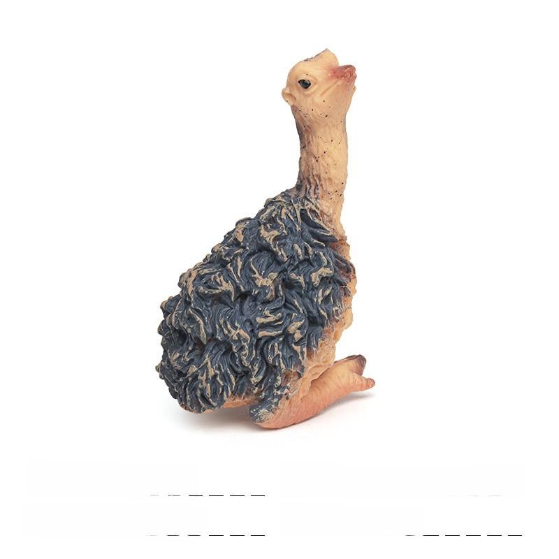 Childrens Bird Animal Model Pvc Realistic Australian Ostrich Baby Figurine For Educational Play And Farm Decor