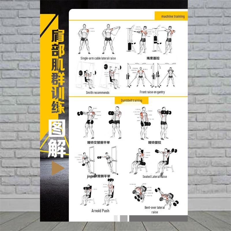 Fitness Training Pose Action Charts (PP Adhesive 40x60cm)