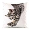 The cute cats from Northern Europe Digital printing short plush pillow covers for car sofa office cushion cover home goods
