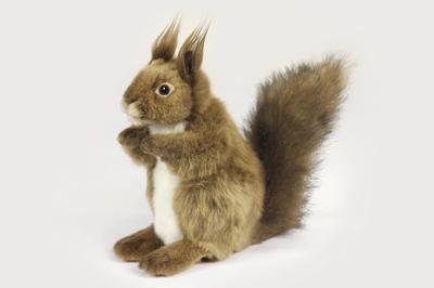BH7238 HANSA Hokkaido Squirrel 20