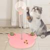 Cat Trt Dispenser Toy Plastic Cute Br Shape Lky Food     Track Feeder Toy with Spring for Cat Gifts