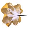 Fitness Strength Training Umbrellas Adjusted Strap Running Speed Training Parachutes Sprint Chutes Resistance Umbrellas