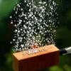 2PcsCelsiusSet Natural Wooden   Bubble Stone Diffuser for Aquarium Fish  (S)