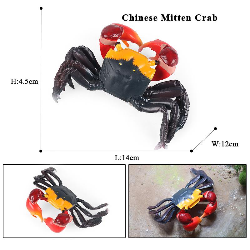 Oenux Simulation Ocean Sea Life Animals Model Lovely Crab Action Figures Toy Cake Toppers Collection Jouet Kids Education Gift