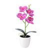 Orchidee w doniczkach Sztuczna orchidea Pomarańczowo-czerwona Różowa Plus Biała Róża Biała Biała Plus Róża Ogród Biuro Restauracja Walentynki
