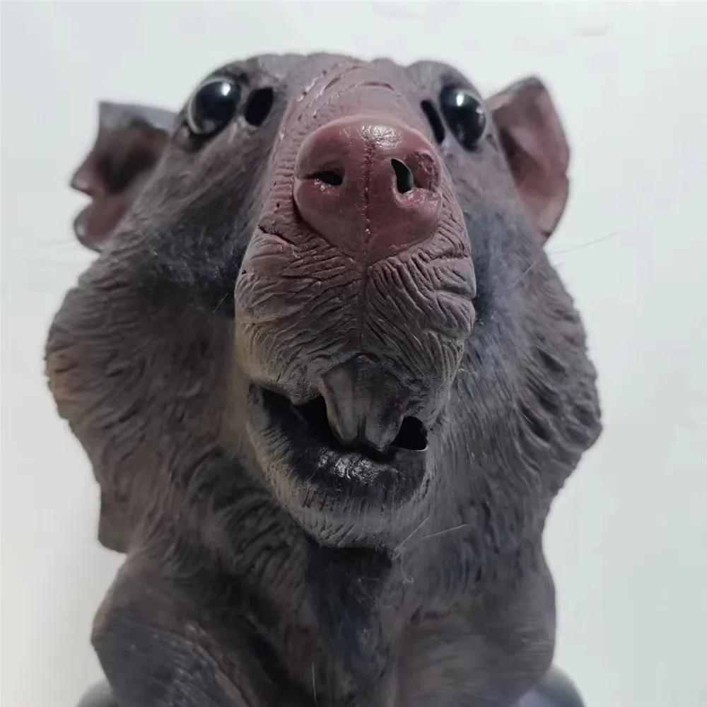 Zvířecí maska myši Latexová maska na celý obličej Cosplay Vtipná helma myši Pokrývka hlavy Halloweenská párty Kostýmové rekvizity