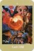 Voyager Tarot Japanese Edition with Mini Instruction Manual