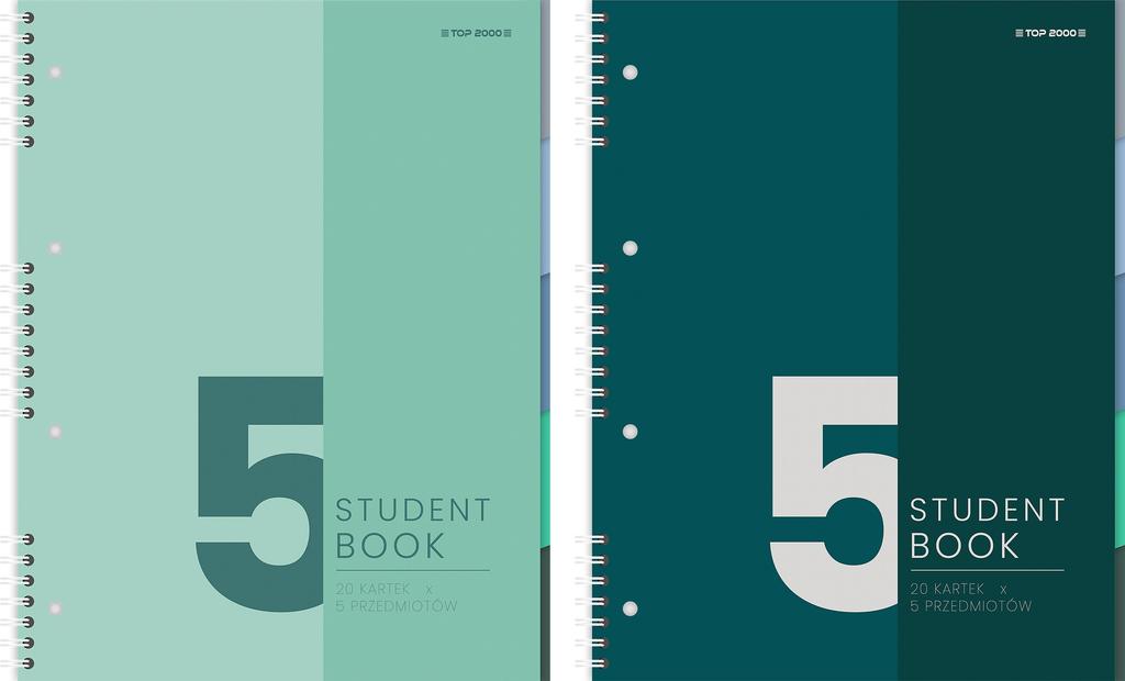 KOŁOZESZYT B5/100K KRATKA TOP 400179521  A'5