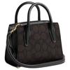 Coach Signature Canvas Mini Andrea Tote Crossbody Bag For Women Daily Use