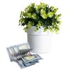 Hidden Safe Flower Pot Money Storage Box Surprise Separable Security Container Stash Safe Box Stash Jars Piggy Bank