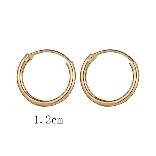 Fashion Simplicity Hoop Earrings for Women Punk Hip-Hop Gold Metal Circle Hoop Party EarringsTrend Jewelry Gift