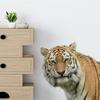 DIY 3D Tiger Veggklistremerke Selvklebende Veggmaleri Kunst Kreative Levende Tiger Klistremerker