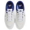 Nike Sb Malor 'White Deep Royal Blue' Skateboard Shoes FV6064-100