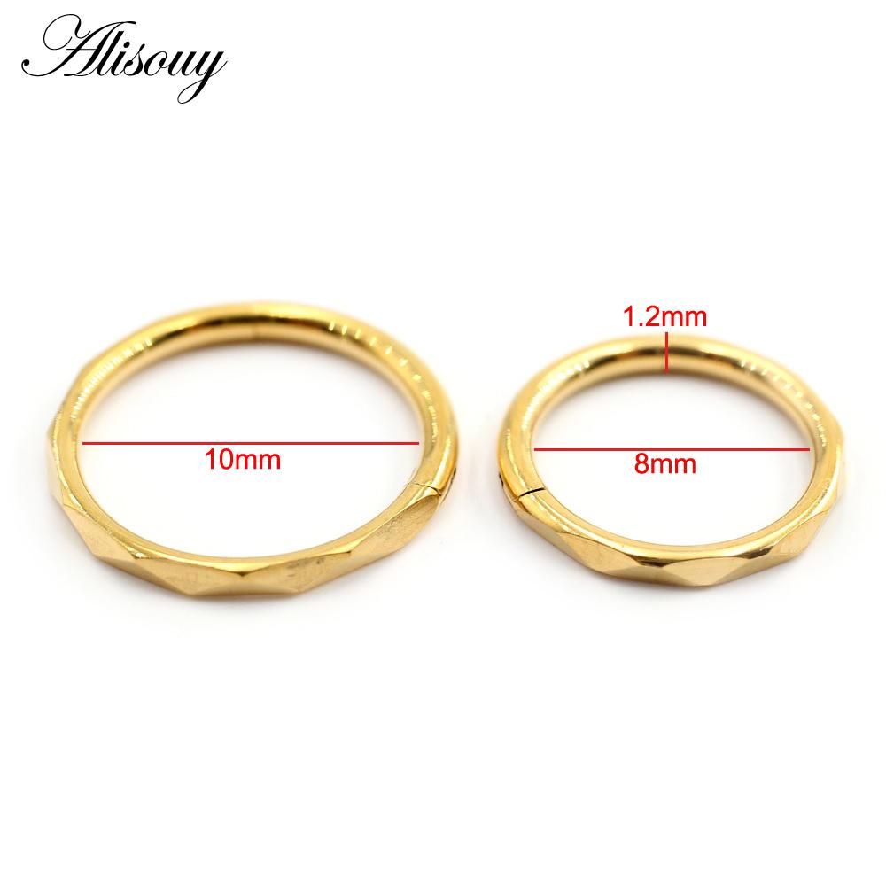 Alisouy 1PC Edelstahl Unregelmäßige Abschnitt Runde Scharnier Clicker Nase Septum Ring Hoop Knorpel Ohrring Körper Piercing Schmuck