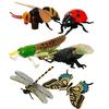 Children's Teaching Aids Knowledge and Knowledge Learning Cards 12 Hand-painted Dinosaurs Marine Animals Science and Education Model Toys