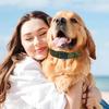 Adjustable Cat Collar Thickened Nylon Pet Collar For Medium And Large Dog Comfortable Pet Collar For Outdoor Training