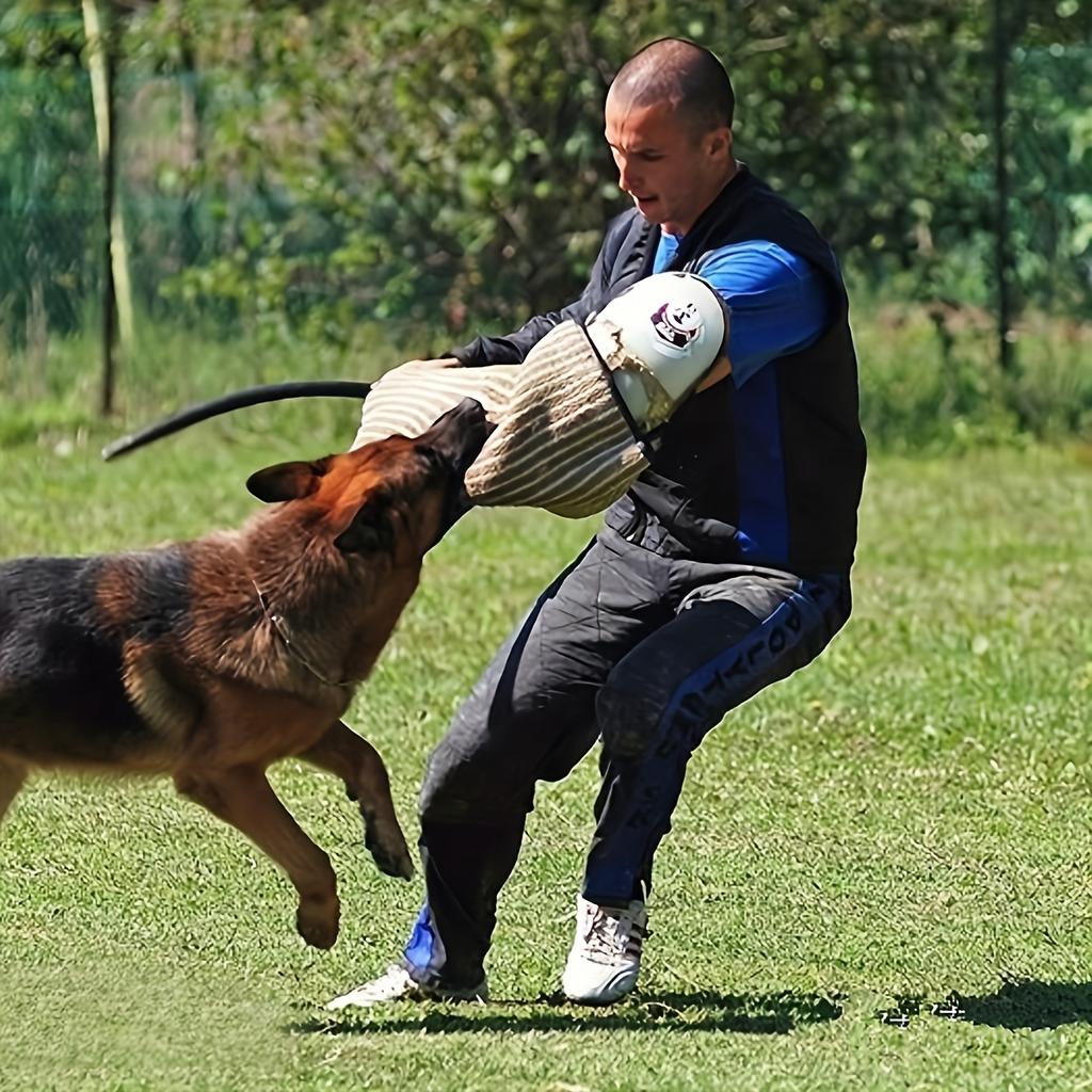 1pc Black Resin Dog Training Whip with Handle - Ideal for Medium Breeds & Outdoor Activities, Perfect Gift for Pet Owners