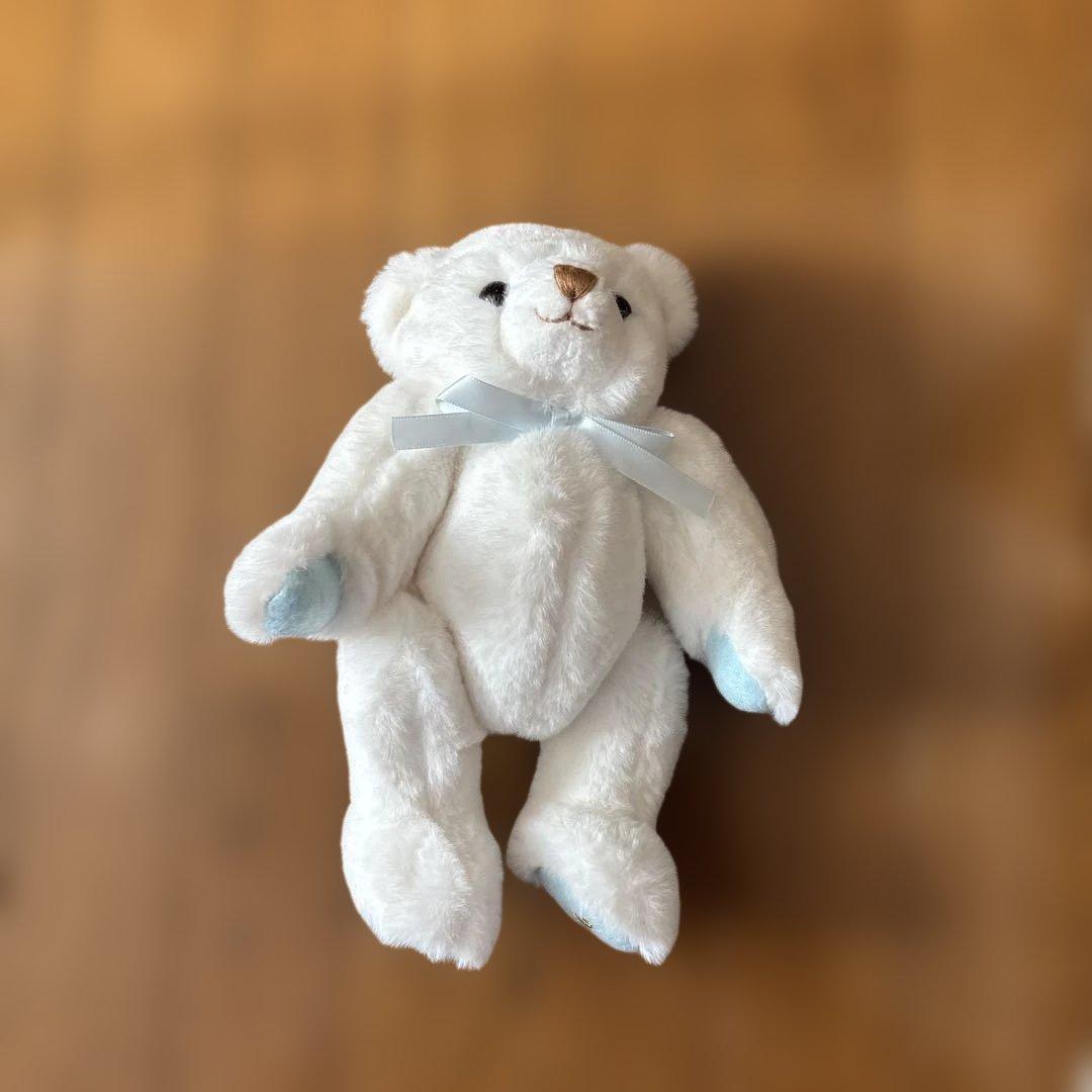 Coral 4C 2022 White Bear