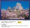Yanoman in Jigsaw Japanese Thousand Cherry Blossoms and Himeji Castle Includes a piece request a a service and a jigsaw puzzle instruction (Yanoman)