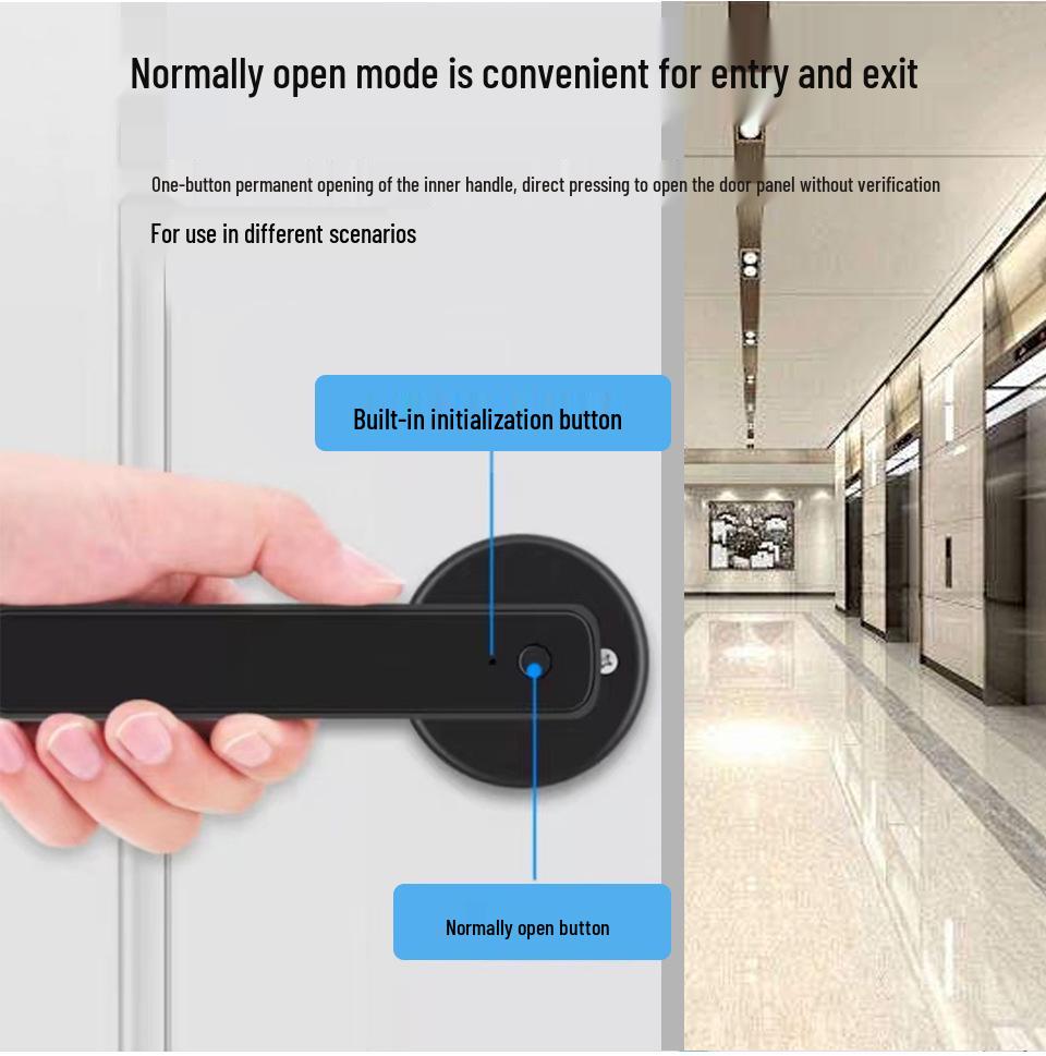 Maniglia Serratura Porta con Impronta Digitale e App Bluetooth, Design Graffiti, Apertura con un Tocco, Funzionamento Silenzioso per Case e Uffici