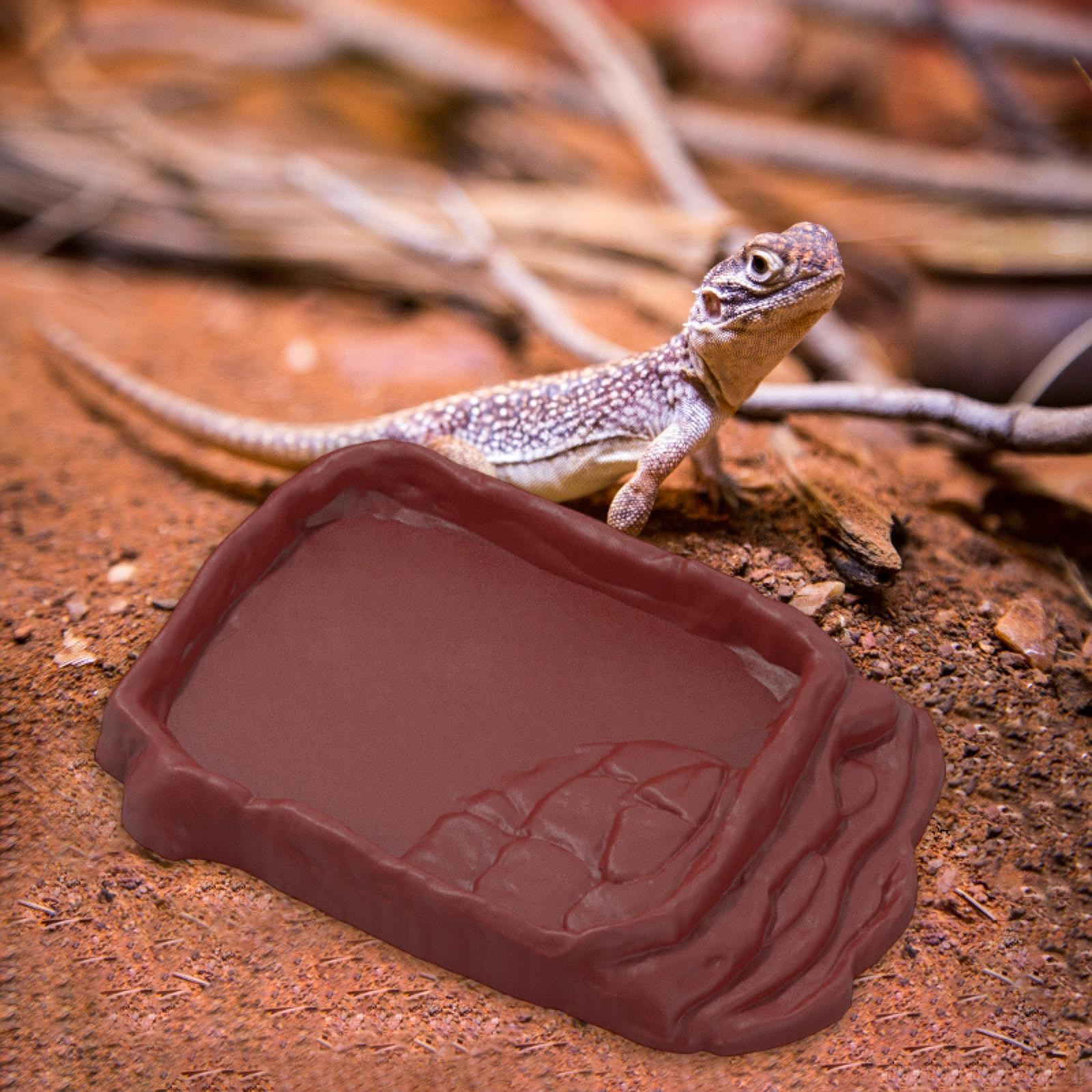 

Миска с кормом для рептилий Многофункциональная ванная комната Бассейн Амфибийная кормушка для украшения Дракон M