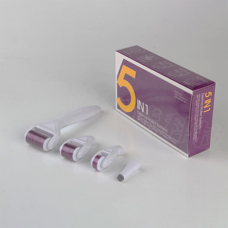 DRS 4-in-1 Microneedle Roller Set: Multifunctional Facial Care and Beauty Tool